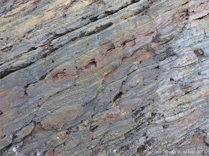 Bluestone Formation rocks at Point Pleasant Park, Halifax, Nova Scotia.