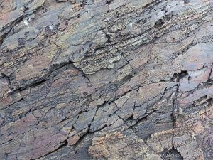 Bluestone Formation rocks at Point Pleasant Park, Halifax, Nova Scotia.