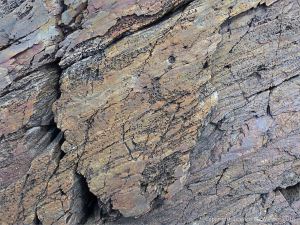 Bluestone Formation rocks at Point Pleasant Park, Halifax, Nova Scotia.