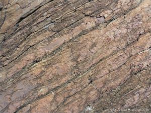 Bluestone Formation rocks at Point Pleasant Park, Halifax, Nova Scotia.