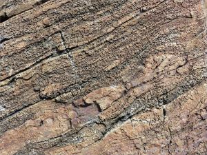 Bluestone Formation rocks at Point Pleasant Park, Halifax, Nova Scotia.