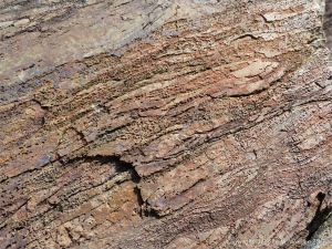 Bluestone Formation rocks at Point Pleasant Park, Halifax, Nova Scotia.