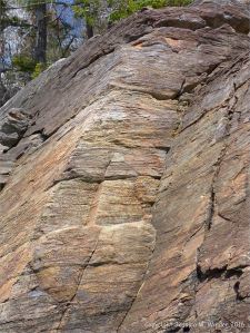 Bluestone Formation rocks at Point Pleasant Park, Halifax, Nova Scotia.