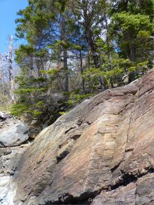 Bluestone Formation rocks at Point Pleasant Park, Halifax, Nova Scotia.