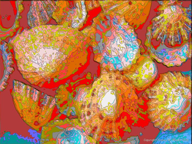 Brightly coloured picture of limpet shells