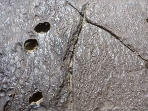 Surface erosion patterns on Carboniferous Limestone at Little Tor, Gower, South Wales.