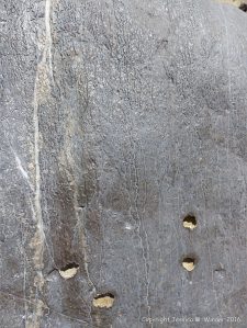 Surface erosion patterns on Carboniferous Limestone at Little Tor, Gower, South Wales.