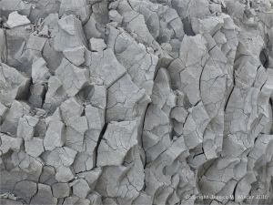 Close-up of pattern and texture in a beach boulders at Charmouth on the World Heritage Jurassic Coast in Dorset, England.