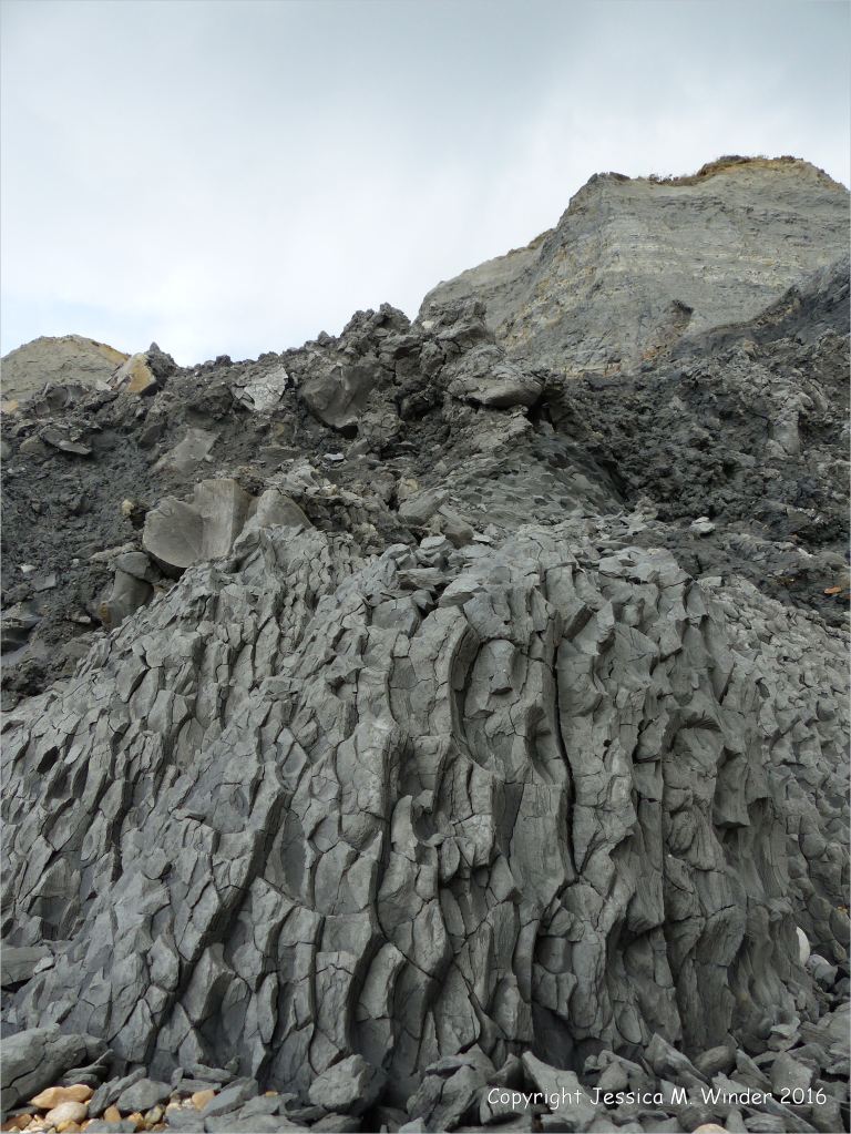 Natural fracture patterns in beach boulders at Charmouth on the World Heritage Jurassic Coast in Dorset, England.