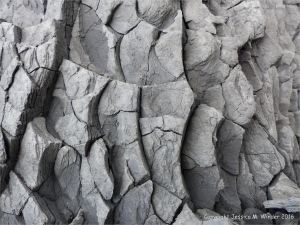 Close-up of pattern and texture in a beach boulders at Charmouth on the World Heritage Jurassic Coast in Dorset, England.