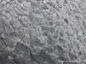 Close-up of pattern and texture in a beach boulders at Charmouth on the World Heritage Jurassic Coast in Dorset, England.