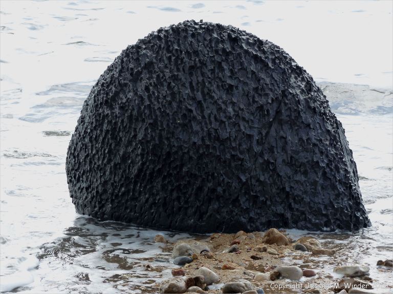 Beach boulders at Charmouth on the World Heritage Jurassic Coast in Dorset, England.