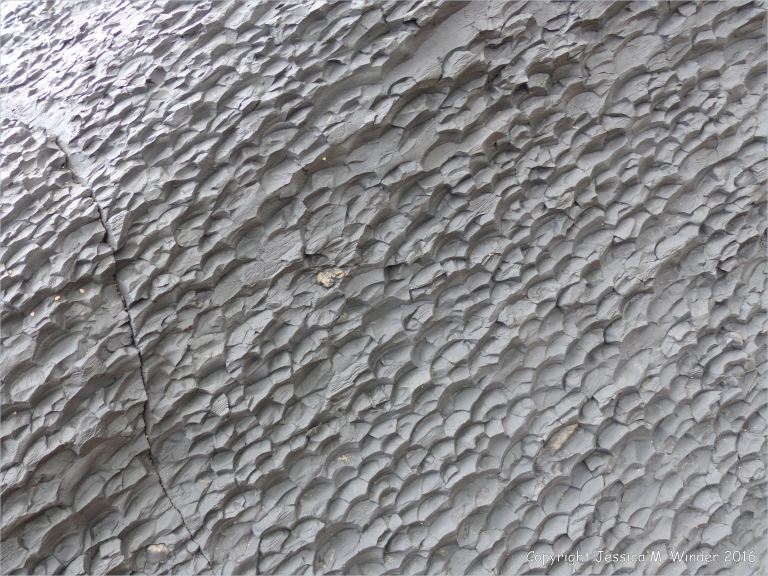 Detail of pattern and texture in a beach boulders at Charmouth on the World Heritage Jurassic Coast in Dorset, England.