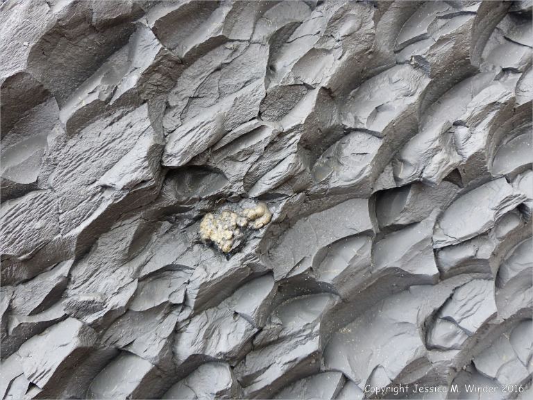 Close-up of pattern and texture in a beach boulders at Charmouth on the World Heritage Jurassic Coast in Dorset, England.