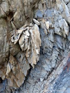 Carboniferous period sedimentary rocks belonging to the Cumberland Group at Spencer's Island, Nova Scotia, Canada.