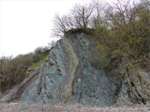 Sedimentary strata from the Carboniferous Cumberland Group at Spencer's Island in Nova Scotia, Canada.