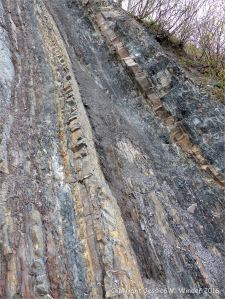 Sedimentary strata from the Carboniferous Cumberland Group at Spencer's Island in Nova Scotia, Canada.