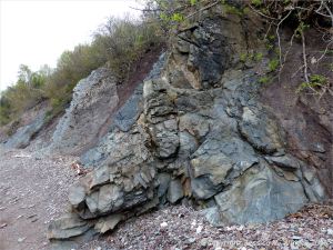 Sedimentary strata from the Carboniferous Cumberland Group at Spencer's Island in Nova Scotia, Canada.