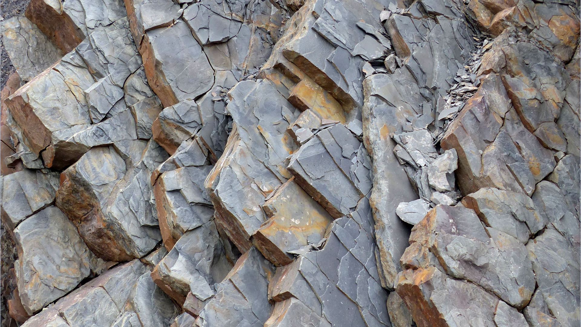 Sedimentary strata from the Carboniferous Cumberland Group at Spencer's Island in Nova Scotia, Canada.