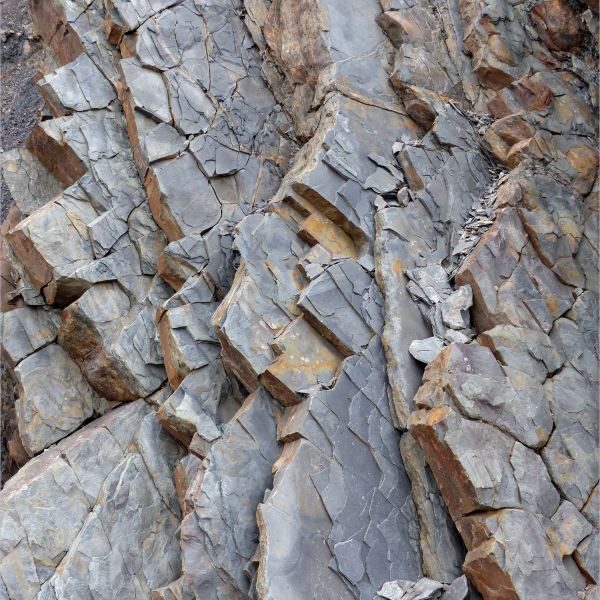 Sedimentary strata from the Carboniferous Cumberland Group at Spencer's Island in Nova Scotia, Canada.
