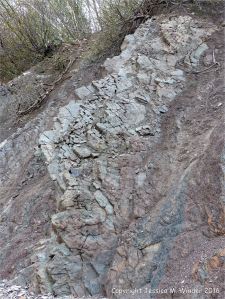 Sedimentary strata from the Carboniferous Cumberland Group at Spencer's Island in Nova Scotia, Canada.