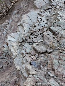 Sedimentary strata from the Carboniferous Cumberland Group at Spencer's Island in Nova Scotia, Canada.