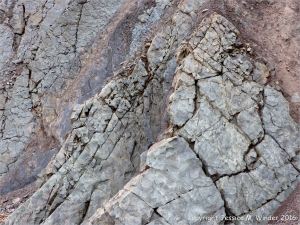 Sedimentary strata from the Carboniferous Cumberland Group at Spencer's Island in Nova Scotia, Canada.