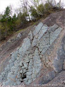 Sedimentary strata from the Carboniferous Cumberland Group at Spencer's Island in Nova Scotia, Canada.