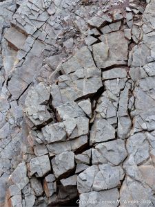 Sedimentary strata from the Carboniferous Cumberland Group at Spencer's Island in Nova Scotia, Canada.