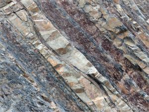 Sedimentary strata from the Carboniferous Cumberland Group at Spencer's Island in Nova Scotia, Canada.