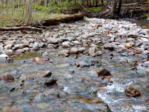 Water texture, colour and pattern in a fast flowing mountain stream