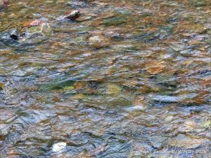 Water texture, colour and pattern in a fast flowing mountain stream
