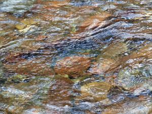 Water texture, colour and pattern in a fast flowing mountain stream