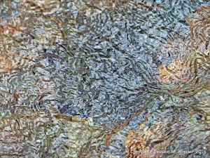 Water texture, colour and pattern in a fast flowing mountain stream