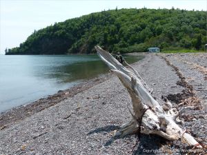 East side of Partridge Island