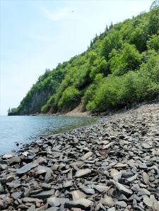 East side of Partridge Island
