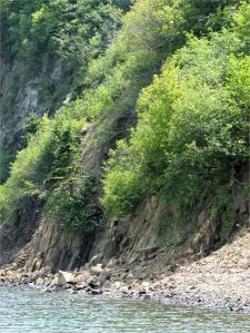Columnar basalt on the east side of Partridge Island