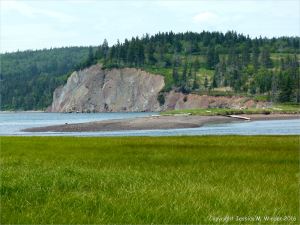 View of the cliffs on the east side of west Bay near Partridge Island