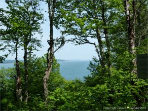 View of the north shore of the Minas Basin from the top of Partridge Island