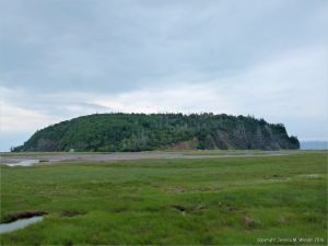 View looking south towards Partridge Island