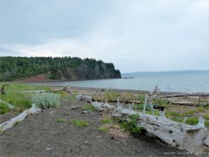 The west side of Partridge Island seen from the shingle spit connecting it to the mainland
