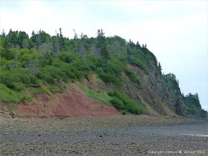 The west side of Partridge Island seen from the shingle spit connecting it to the mainland