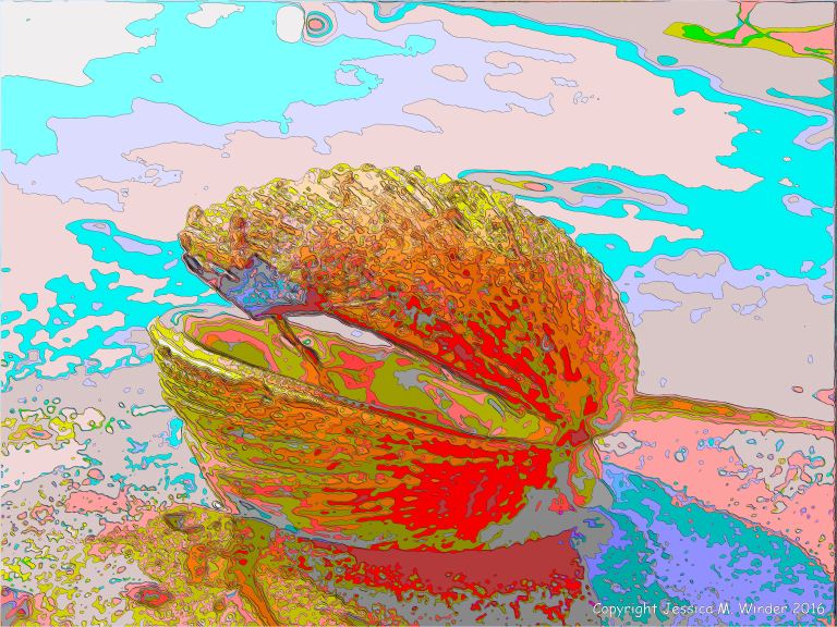 Brightly coloured picture of a warty venus shell shell on the beach