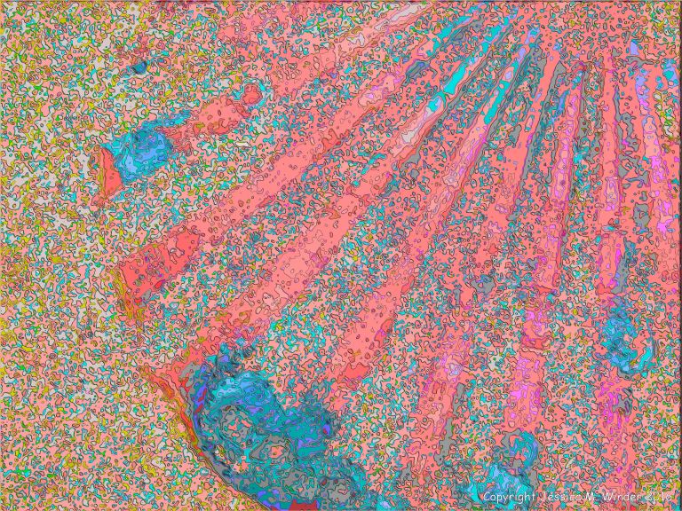 Brightly coloured picture of scallop shell ribs
