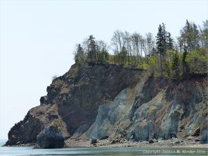 Context shot of Clarke Head, Nova Scotia, Canada, where the photographs of satin spar gypsum veins were taken
