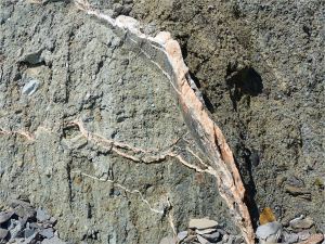 Crystal veins of satin spar gypsum in fault zone rocks
