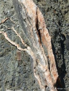 Crystal veins of satin spar gypsum in fault zone rocks