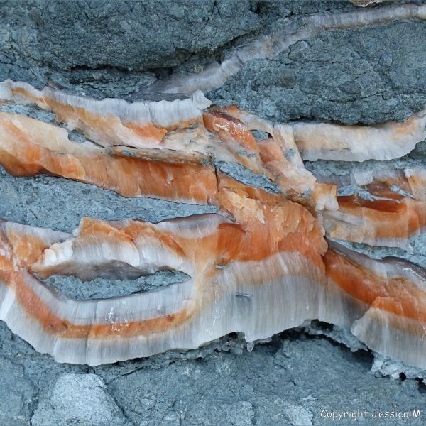 Crystal veins of satin spar gypsum in fault zone rocks