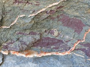 Crystal veins of satin spar gypsum in fault zone rocks