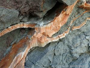 Crystal veins of satin spar gypsum in fault zone rocks